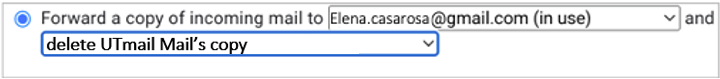 Selecting a forwarding option screenshot.