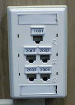 A new style of telephone jack sometimes seen on campus, with 5 data ports.